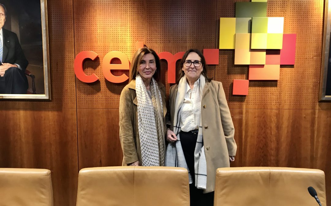 Trabajo en equipo