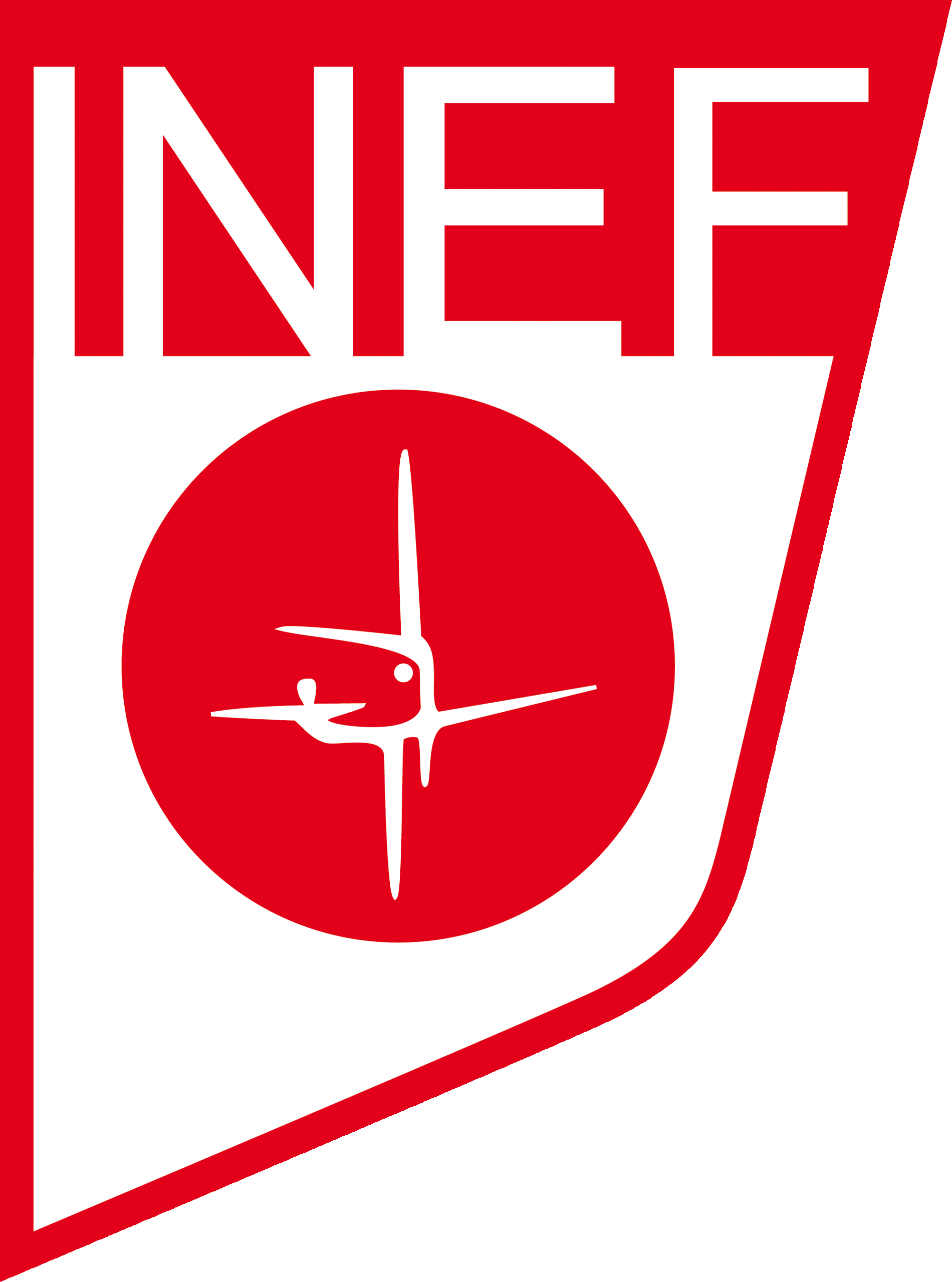 escudo_inef_grande